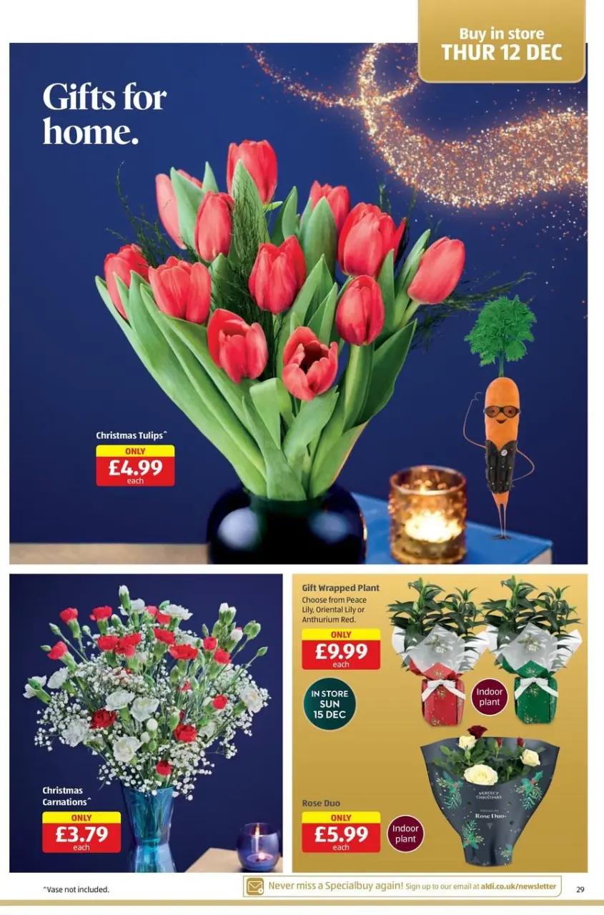 Ofertas de ALDI Reino Unido de 19 diciembre a 2 enero 2025 Nuevas ofertas - Página 29