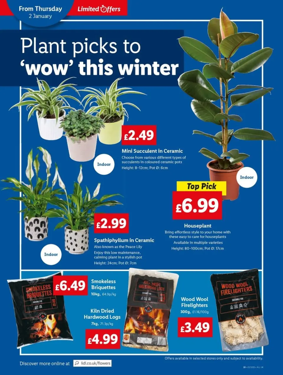 Ofertas de Lidl Reino Unido de 2 a 8 enero 2025 Ofertas exclusivas - Página 22