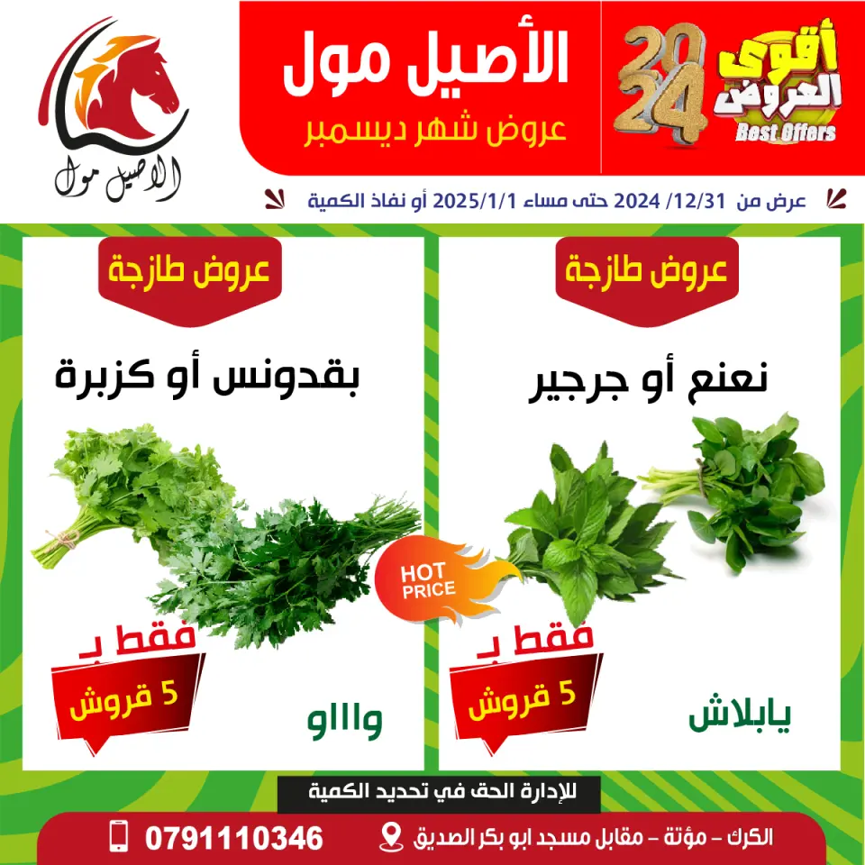 Offres Centre commercial Al Aseel Jordan de 31 décembre à 1 janvier 2025 Meilleures affaires - Centre commercial Al Aseel - Jordan - 31 decembre 2024 – 1 janvier 2025 - Page 16