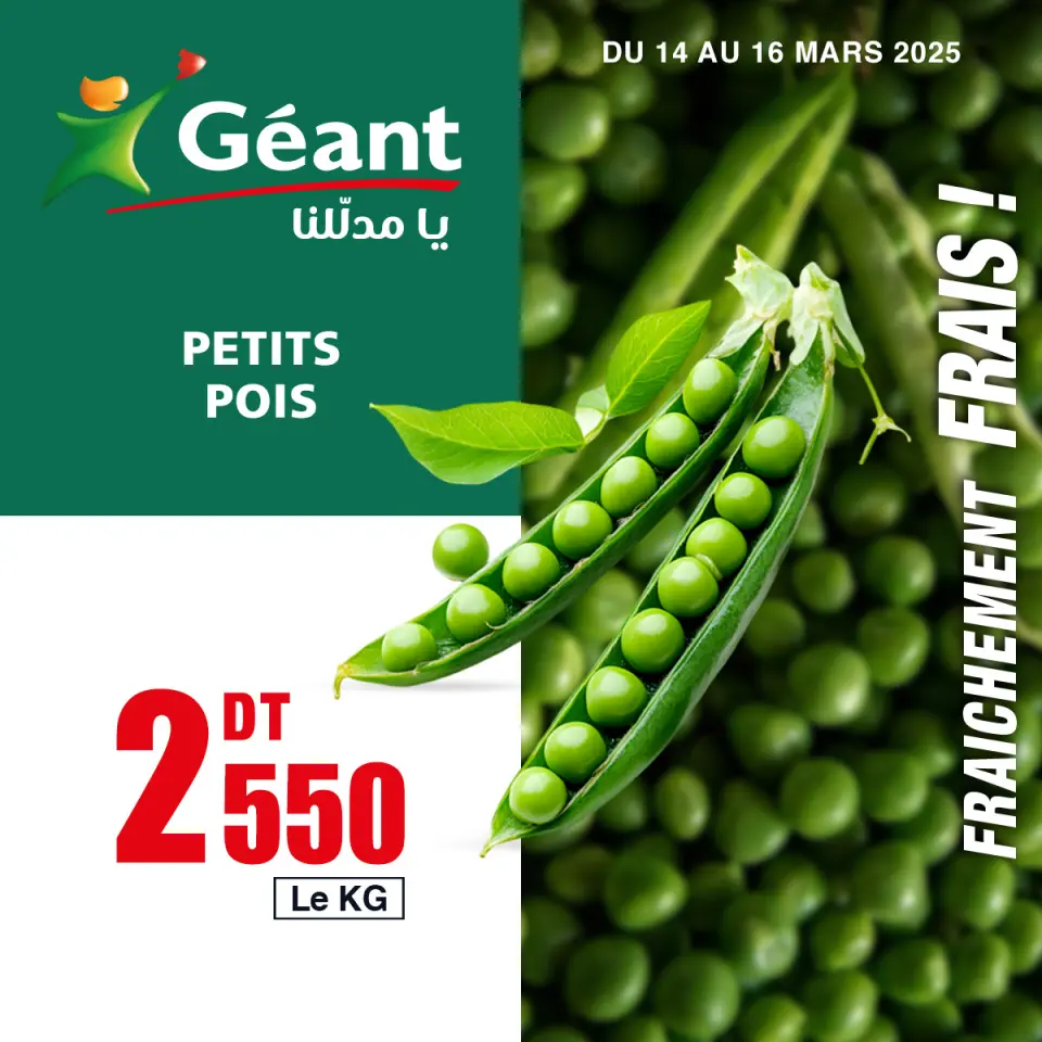 Geant Tunisia Offers from 14 to 16 March 2025 New Offers - Page 4