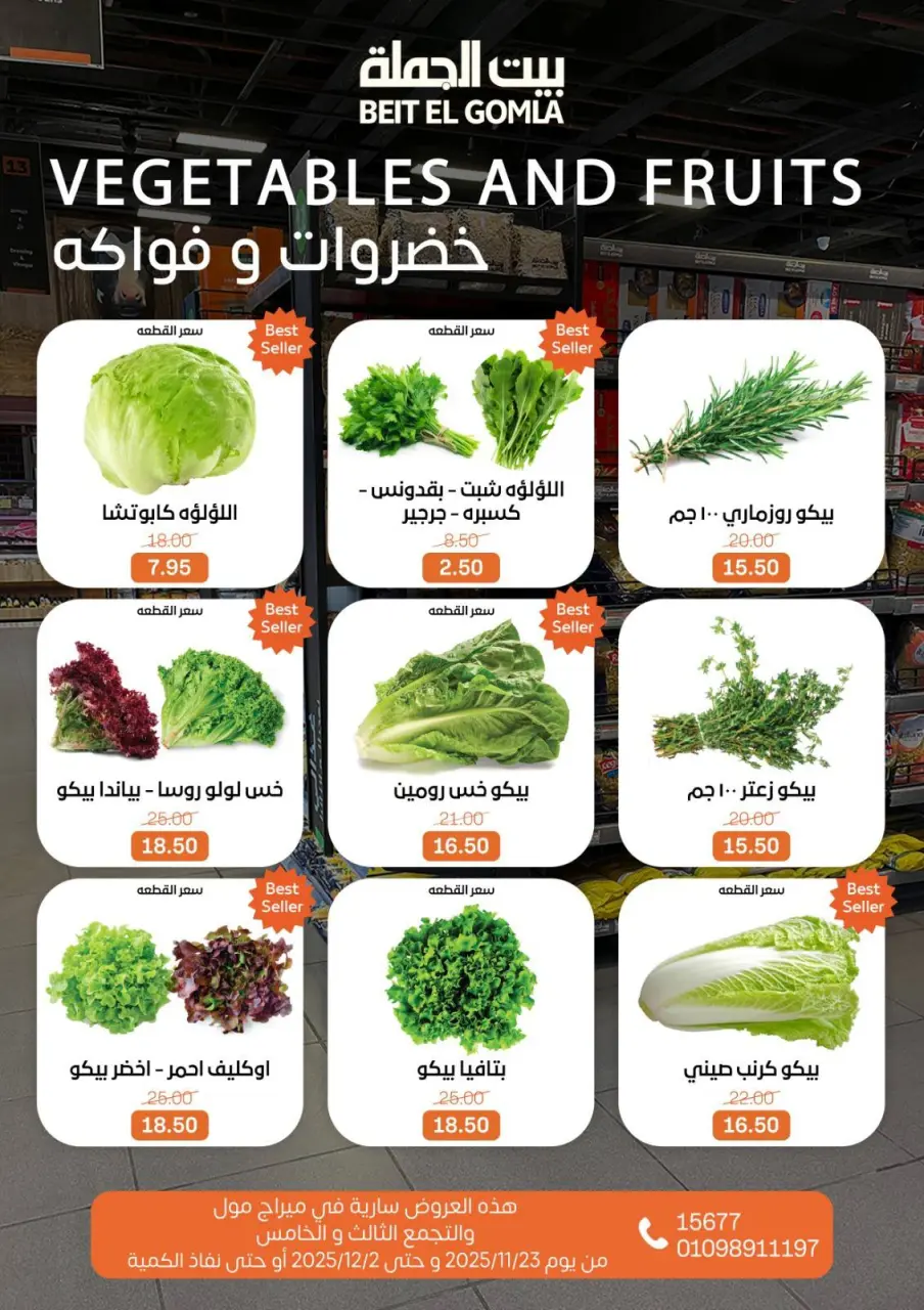 Gomla House Egypt Offers from 23 November to 2 December 2025 Saving Deals - Page 15