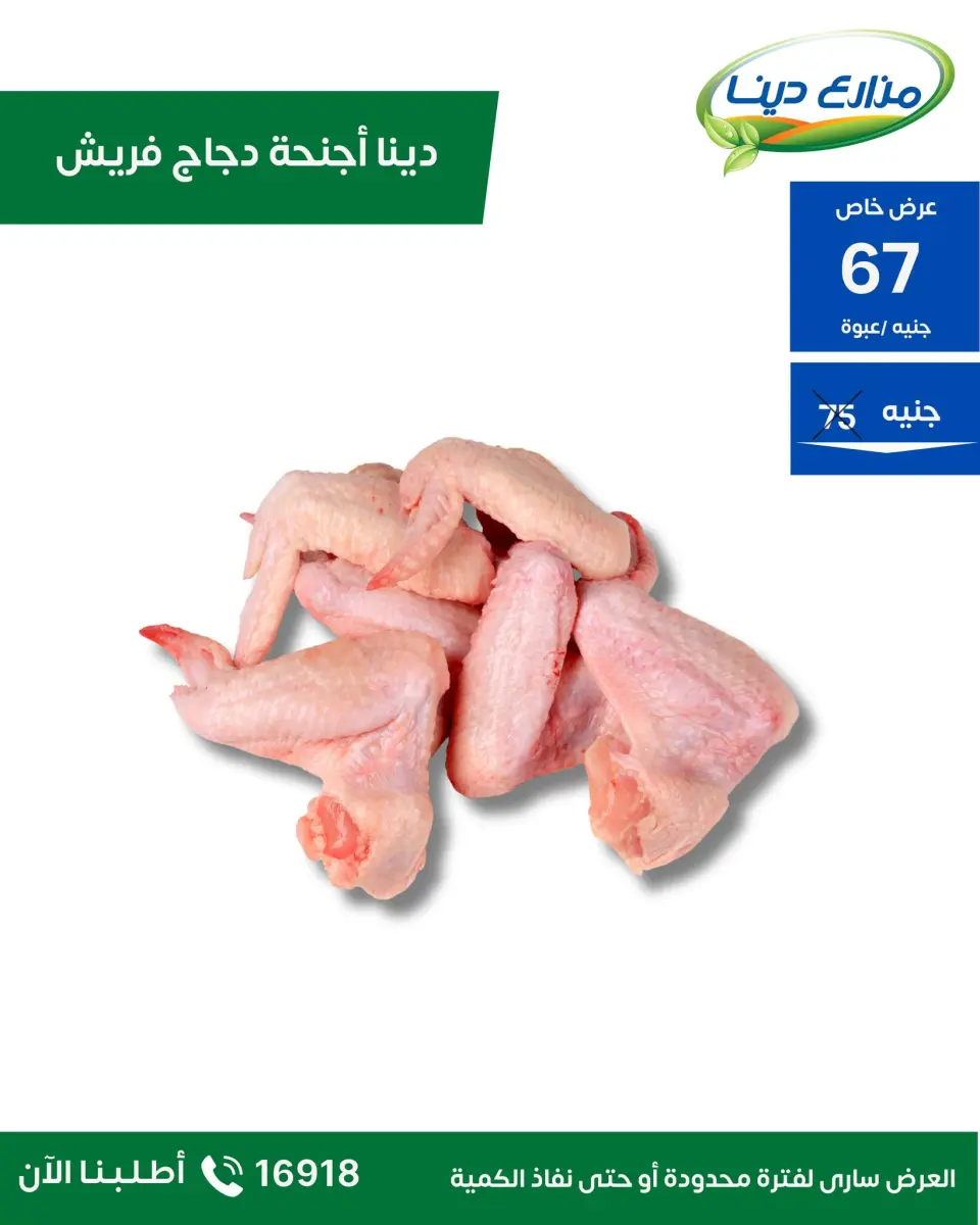 Dina Farms Egypt Offers from 23 November to 6 December 2025 November Deals - Page 15