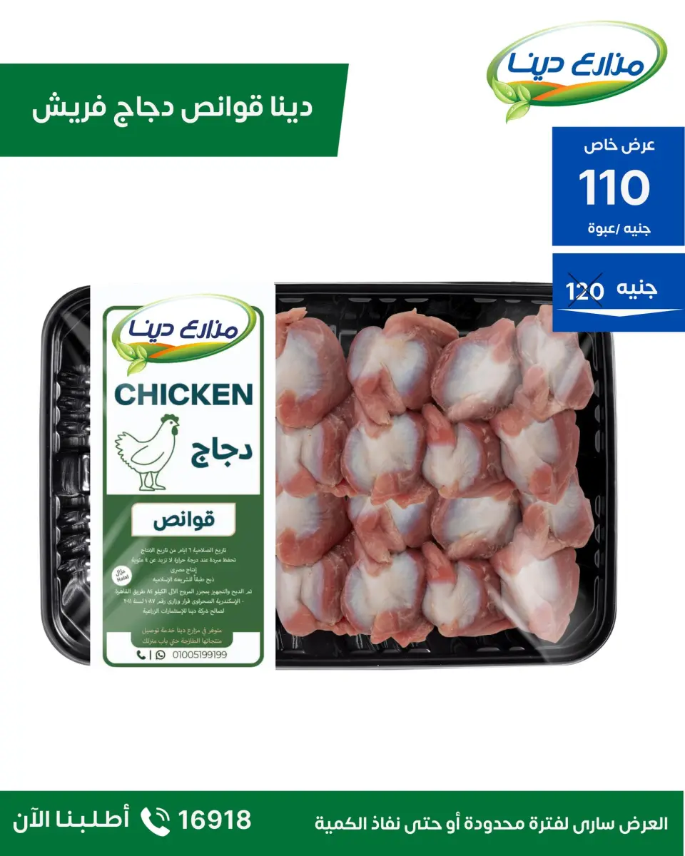 Dina Farms Egypt Offers from 23 November to 6 December 2025 November Deals - Page 17