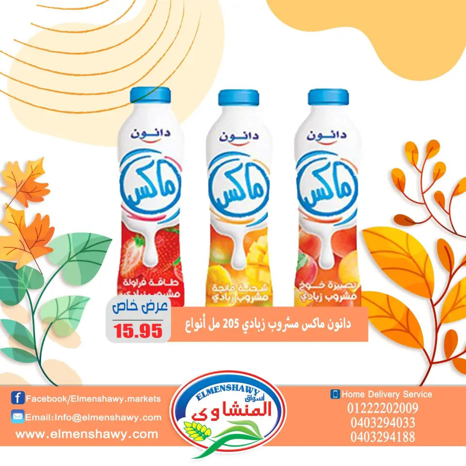 El Menshawy markets Egypt Offers from 25 November to 1 December 2025 Saving Deals - Page 3