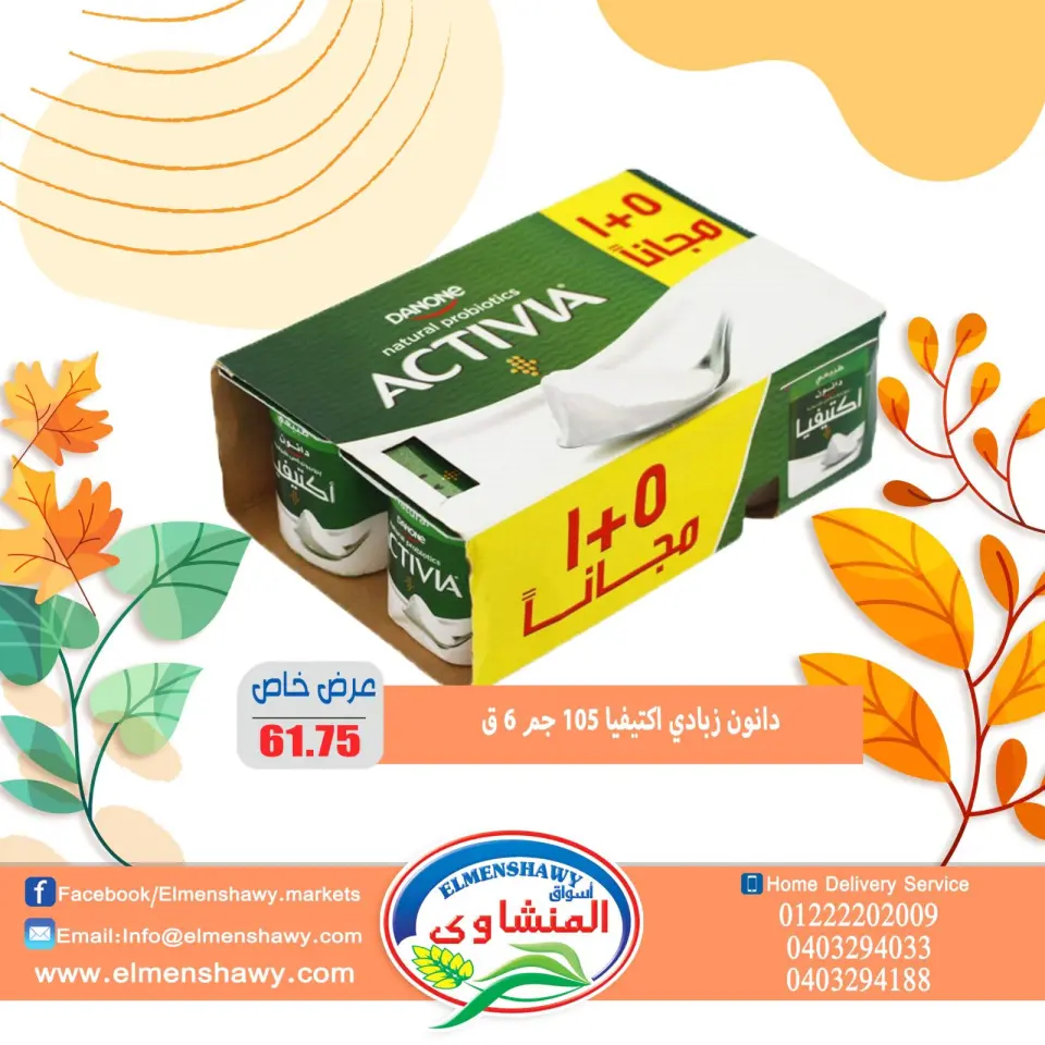 El Menshawy markets Egypt Offers from 25 November to 1 December 2025 Saving Deals