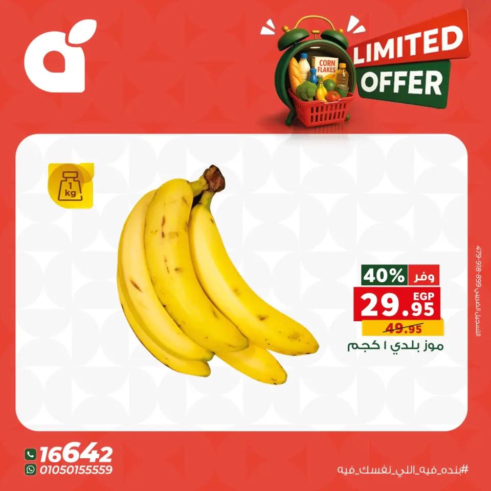 Panda Egypt Offers Friday 28 November Limited offers - Page 10