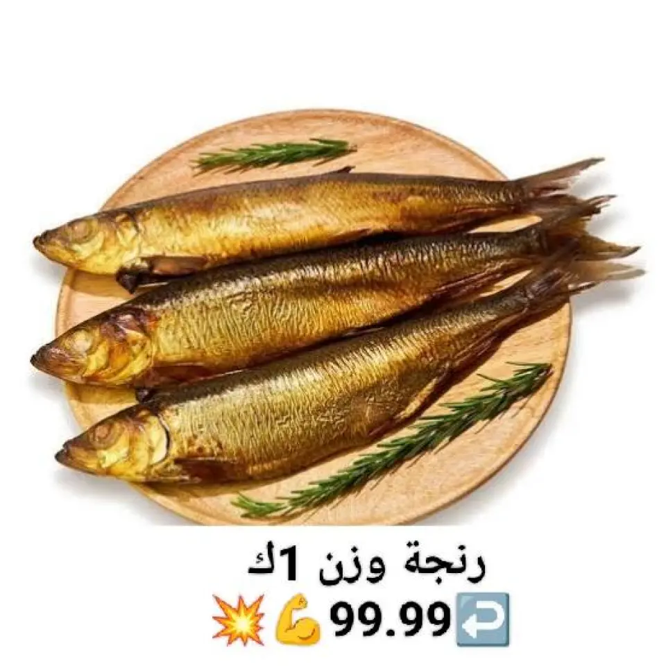 Hyper Al-Sharkia Egypt Offers from 27 November to 3 December 2025 Saving Deals - Page 31