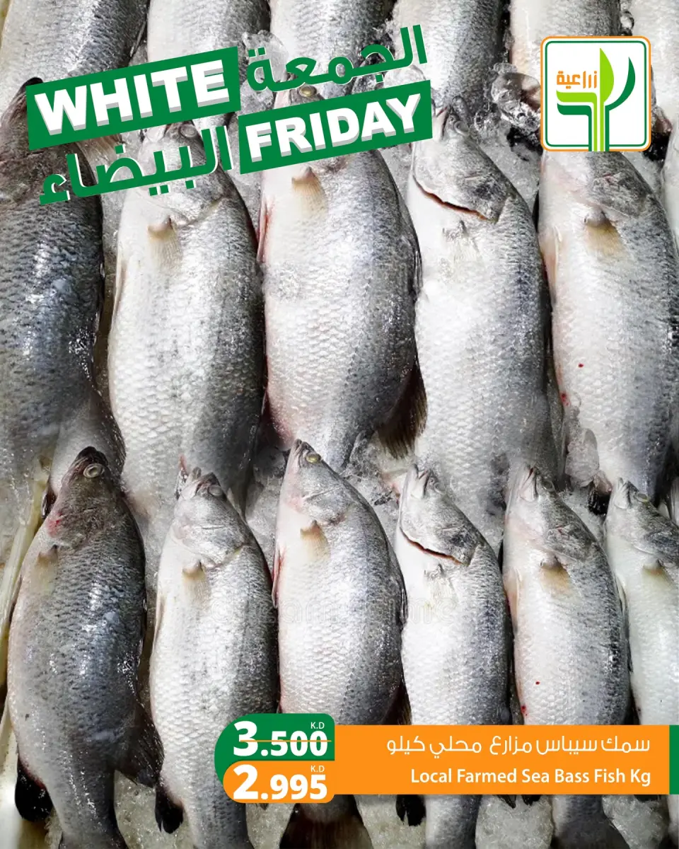 Offres Aliments agricoles Koweït de 29 novembre à 5 décembre 2025 Offres du Vendredi Blanc - Page 7