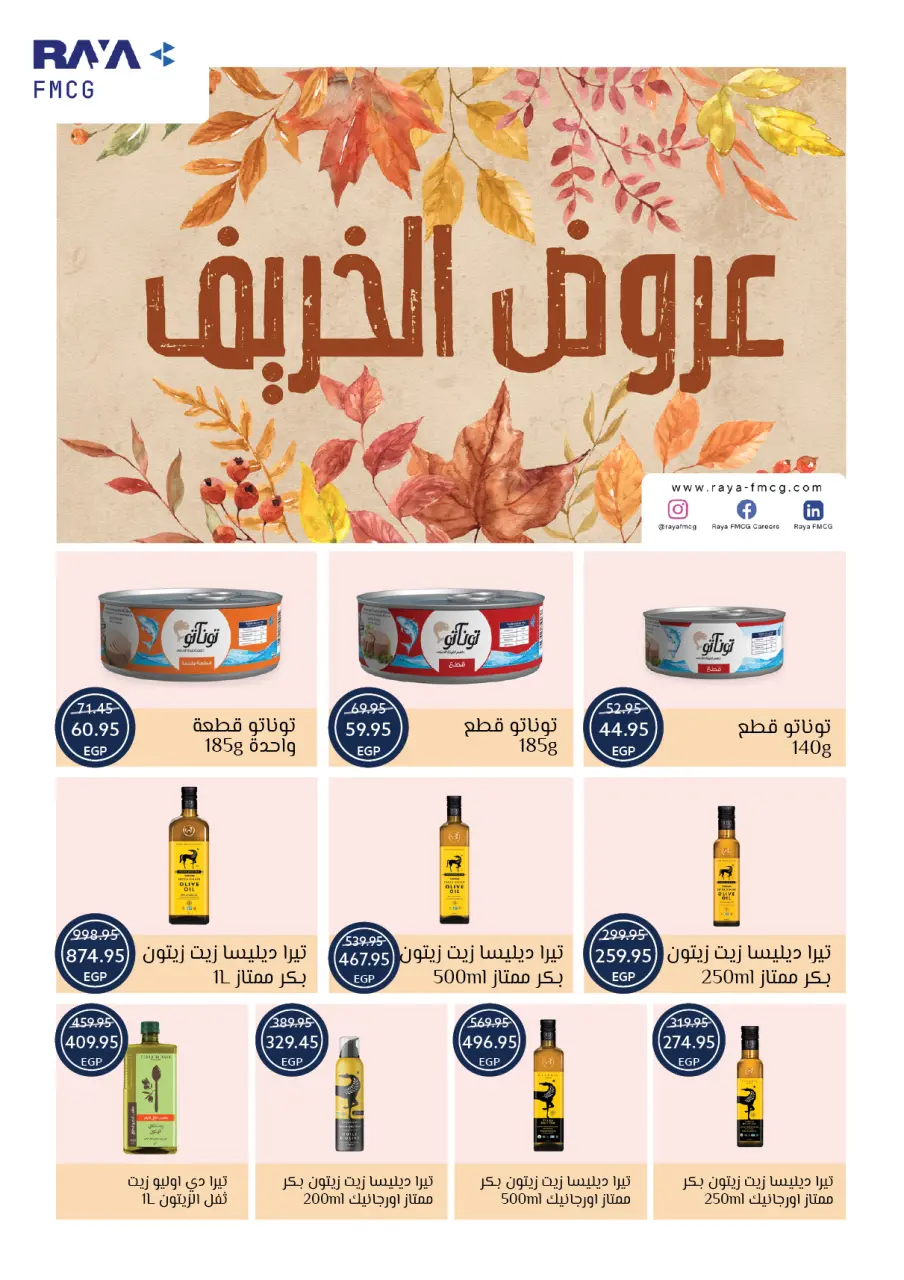 Oscar Grand Stores Egypt Offers from 30 November to 9 December 2025 Christmas Offers - Page 31