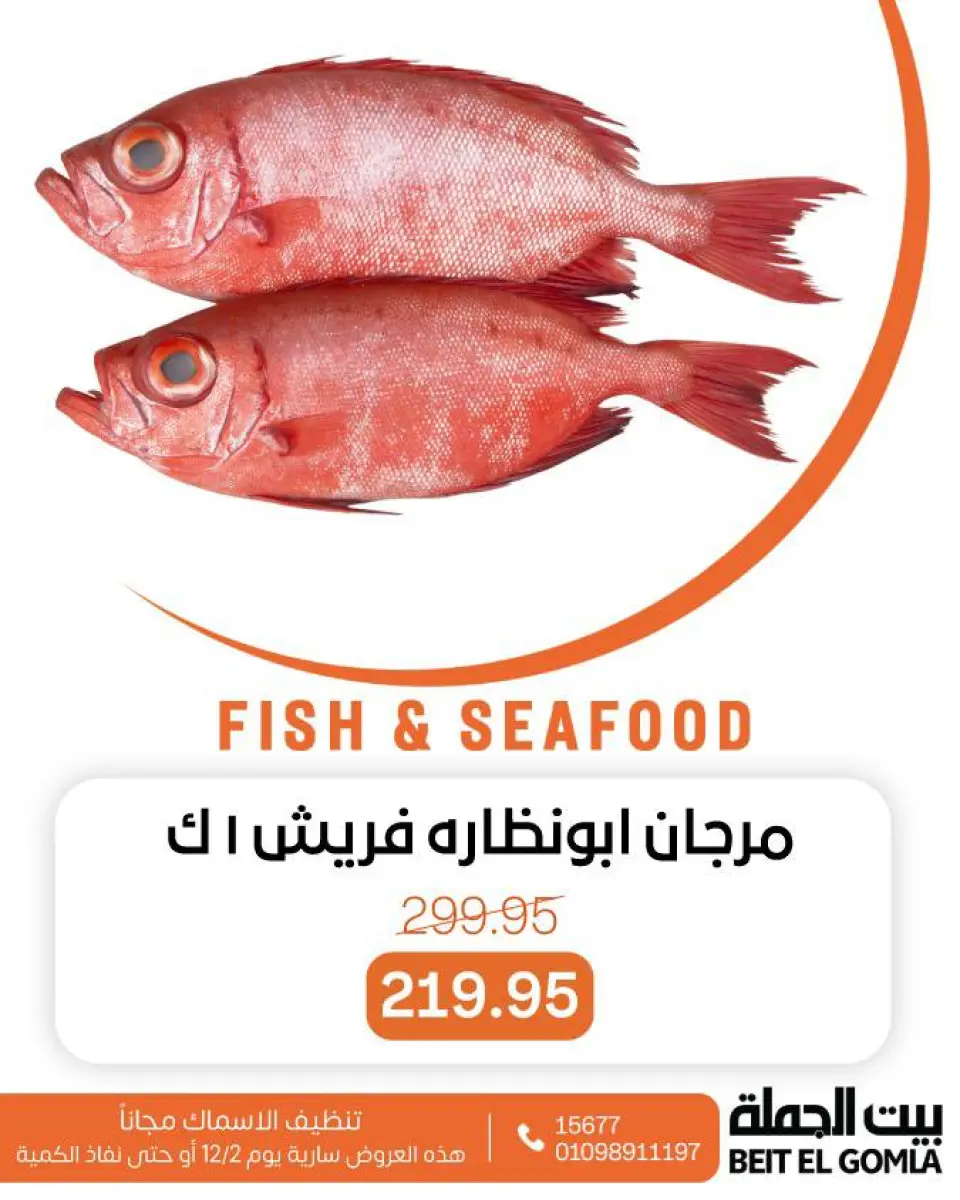 Gomla House Egypt Offers Tuesday 2 December Seafood Deals - Page 12