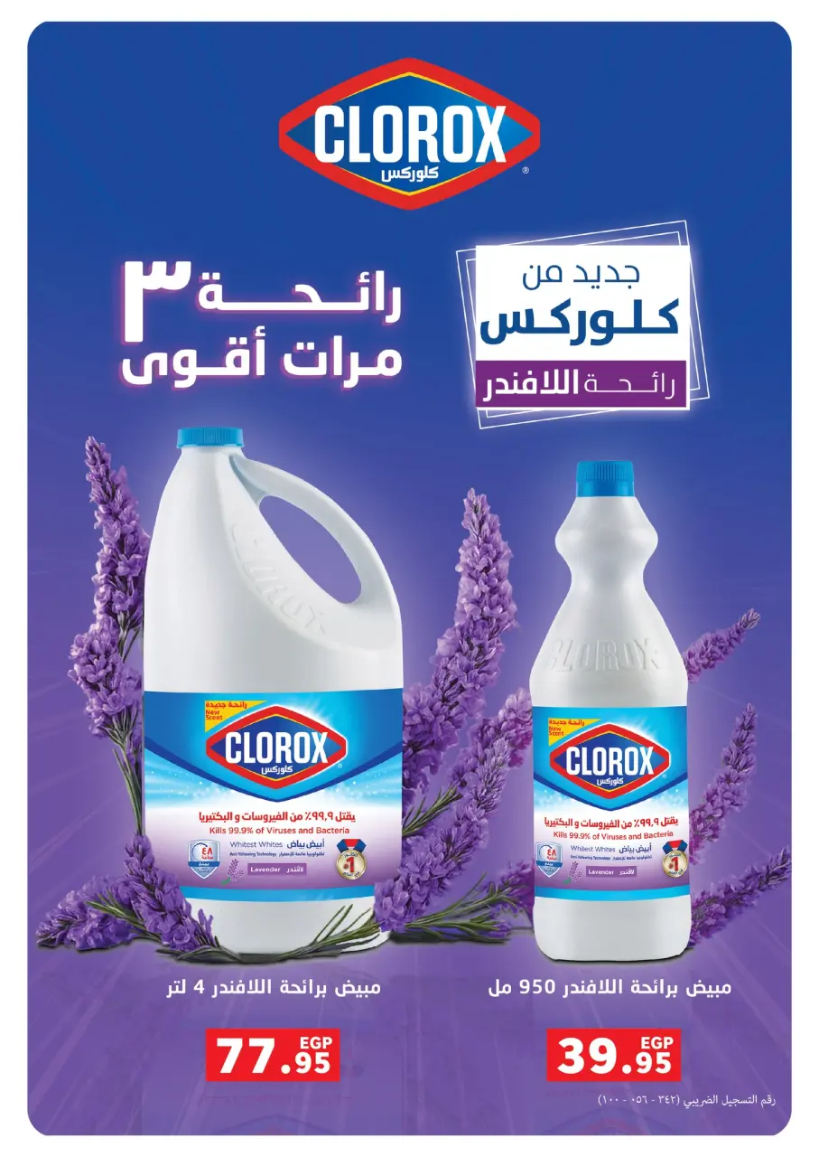 Panda Egypt Offers from 3 to 16 December 2025 Special Offers - Page 70