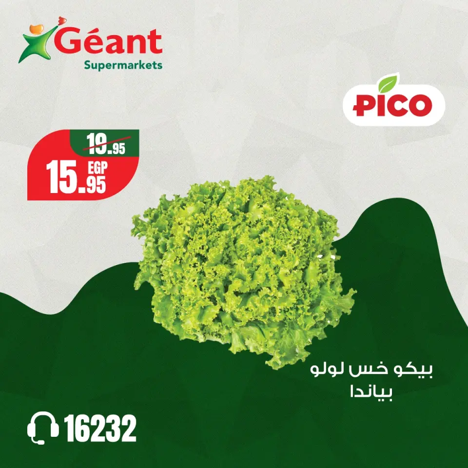 Geant Egypt Offers from 4 to 6 December 2025 PICO Offers - Page 7