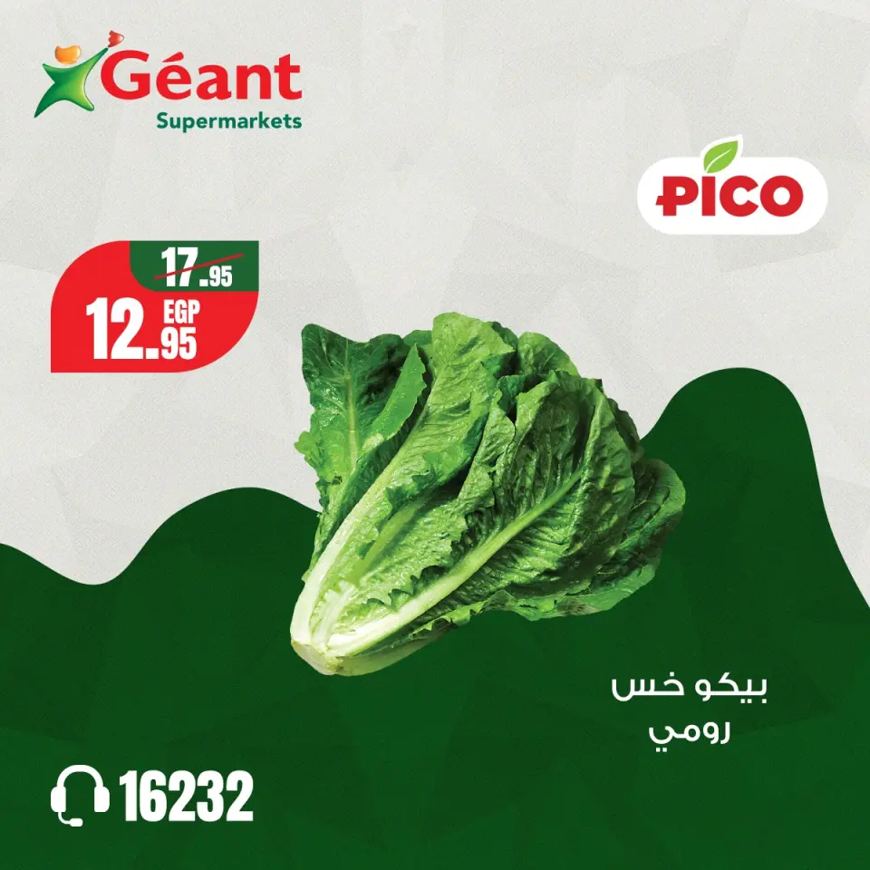 Geant Egypt Offers from 4 to 6 December 2025 PICO Offers - Page 10