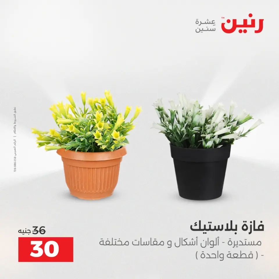 Raneen Egypt Offers from 7 to 8 December 2025 Decorative pieces offers - Page 32