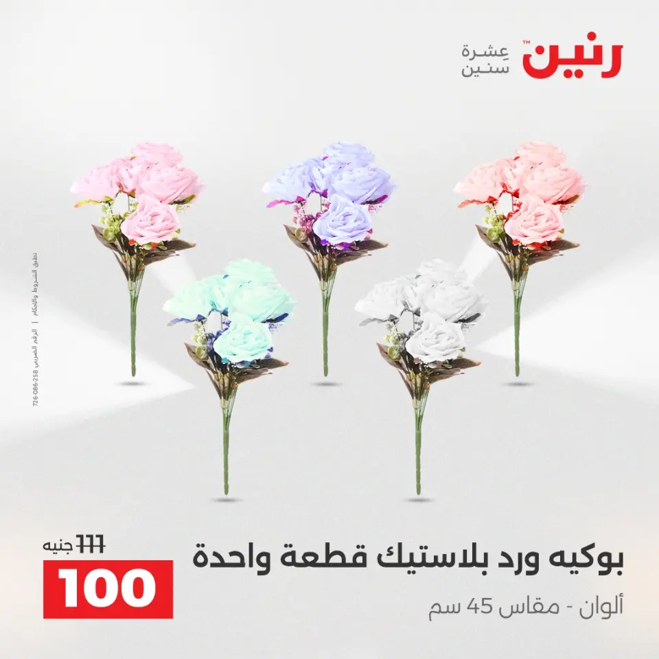 Raneen Egypt Offers from 7 to 8 December 2025 Decorative pieces offers - Page 5