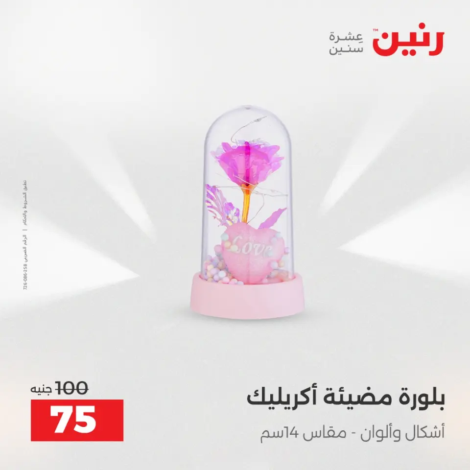 Raneen Egypt Offers from 7 to 8 December 2025 Decorative pieces offers - Page 35