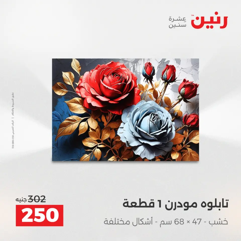 Raneen Egypt Offers from 7 to 8 December 2025 Decorative pieces offers - Page 9