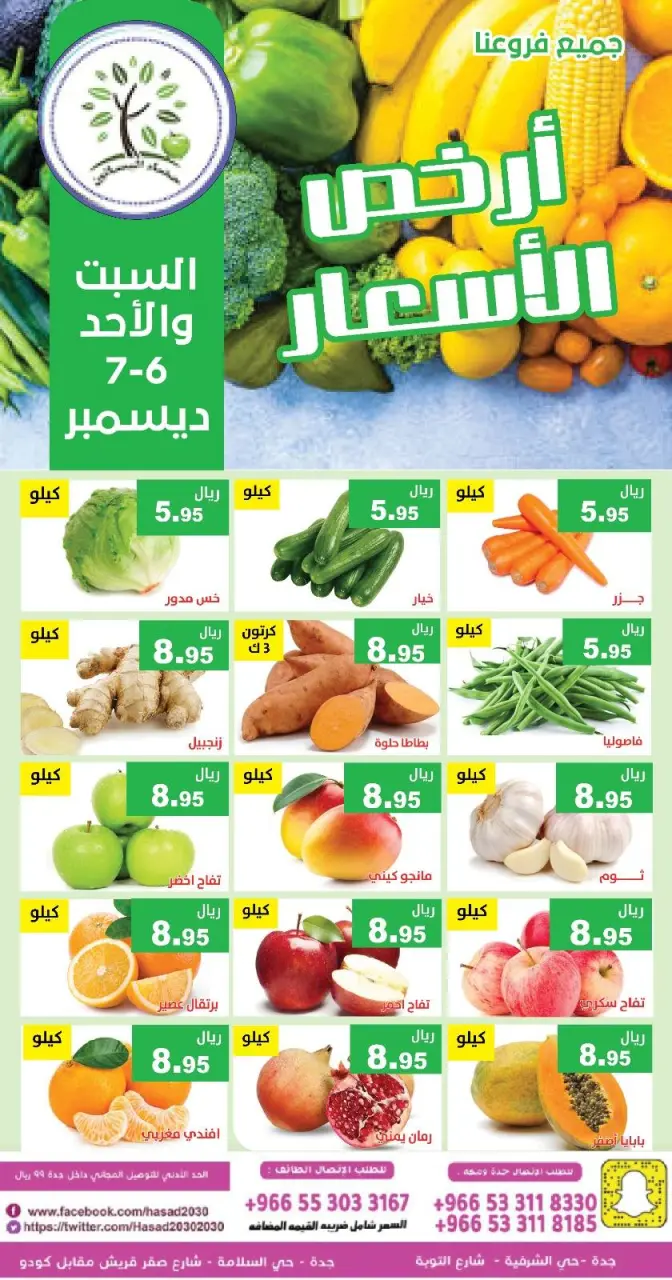 Hasad Albasatin Saudi Arabia Offers from 6 to 7 December 2025 Low Price
