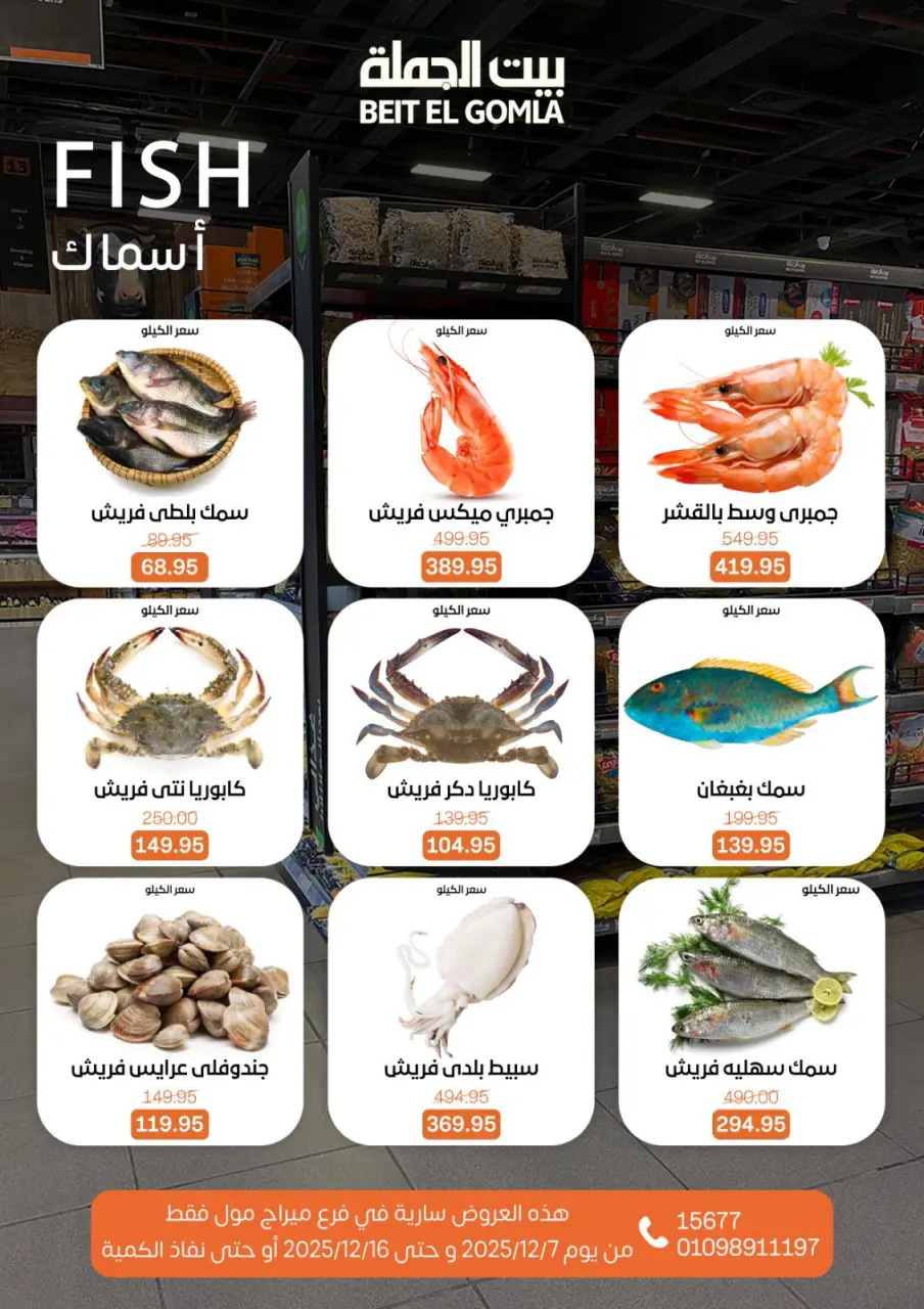 Gomla House Egypt Offers from 7 to 16 December 2025 Saving Deals - Page 14