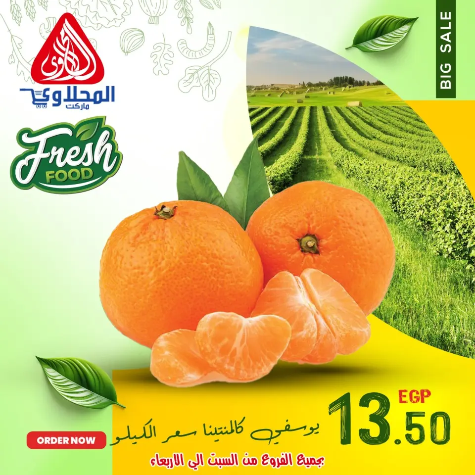 El Mahlawy market Egypt Offers from 7 to 11 December 2025 Vegetable and fruit offers - Page 4