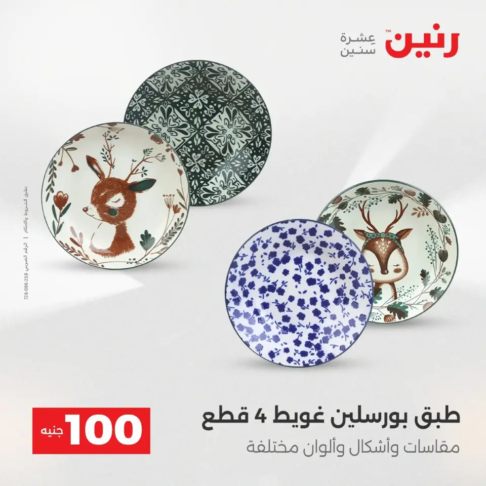 Raneen Egypt Offers from 9 to 10 December 2025 The 100 EGP Offer - Page 2
