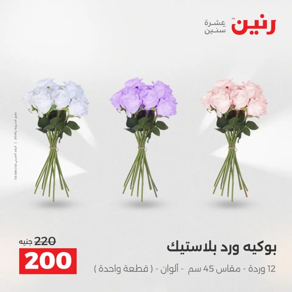 Raneen Egypt Offers from 9 to 10 December 2025 Decorative pieces offers - Page 37