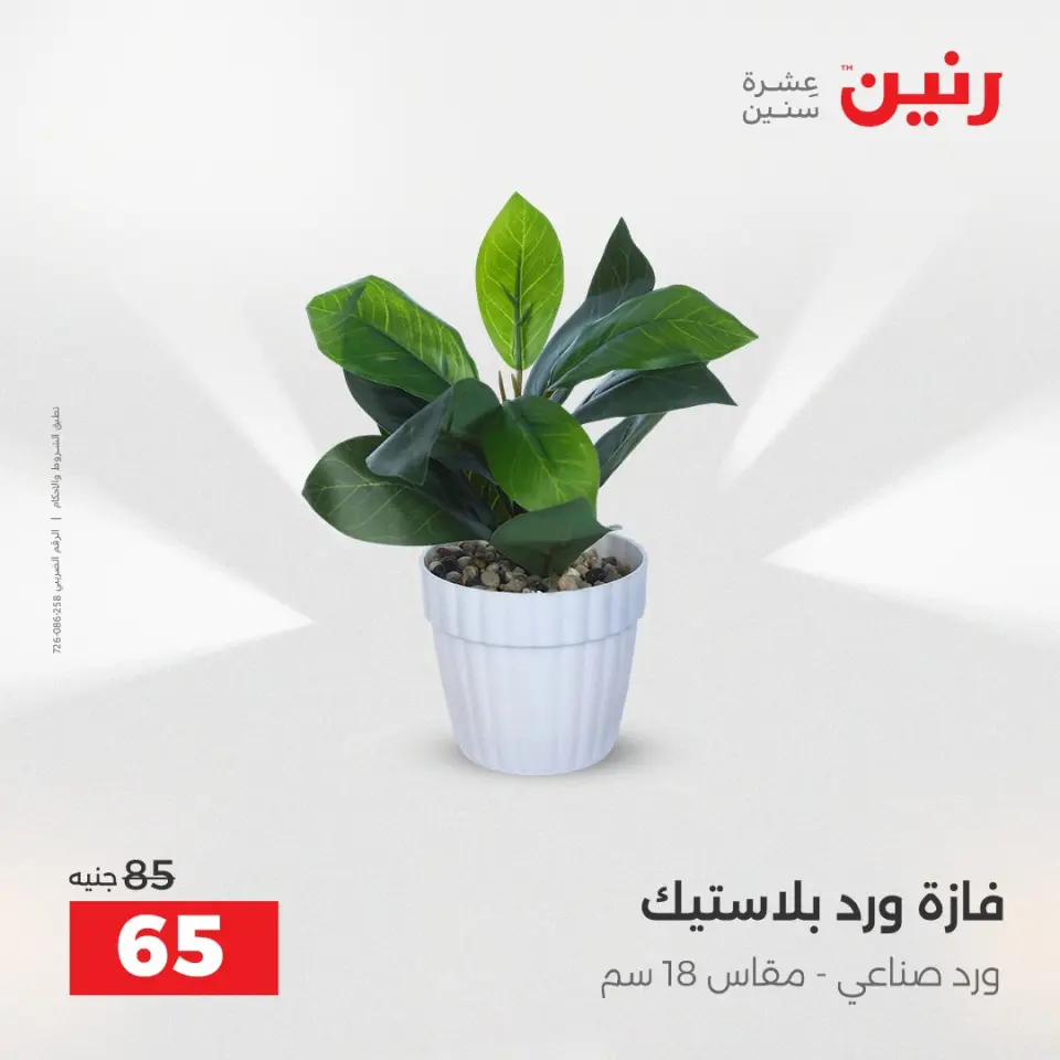 Raneen Egypt Offers from 9 to 10 December 2025 Decorative pieces offers - Page 32