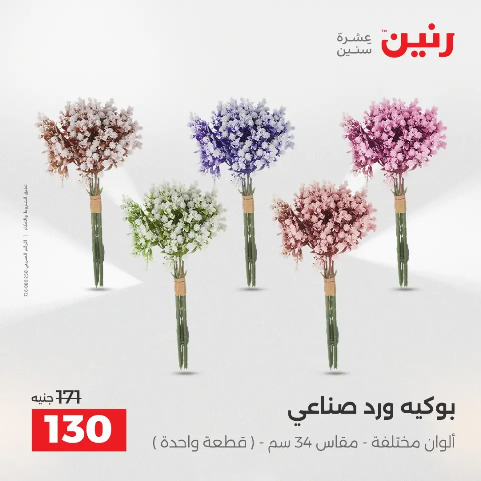 Raneen Egypt Offers from 9 to 10 December 2025 Decorative pieces offers - Page 39