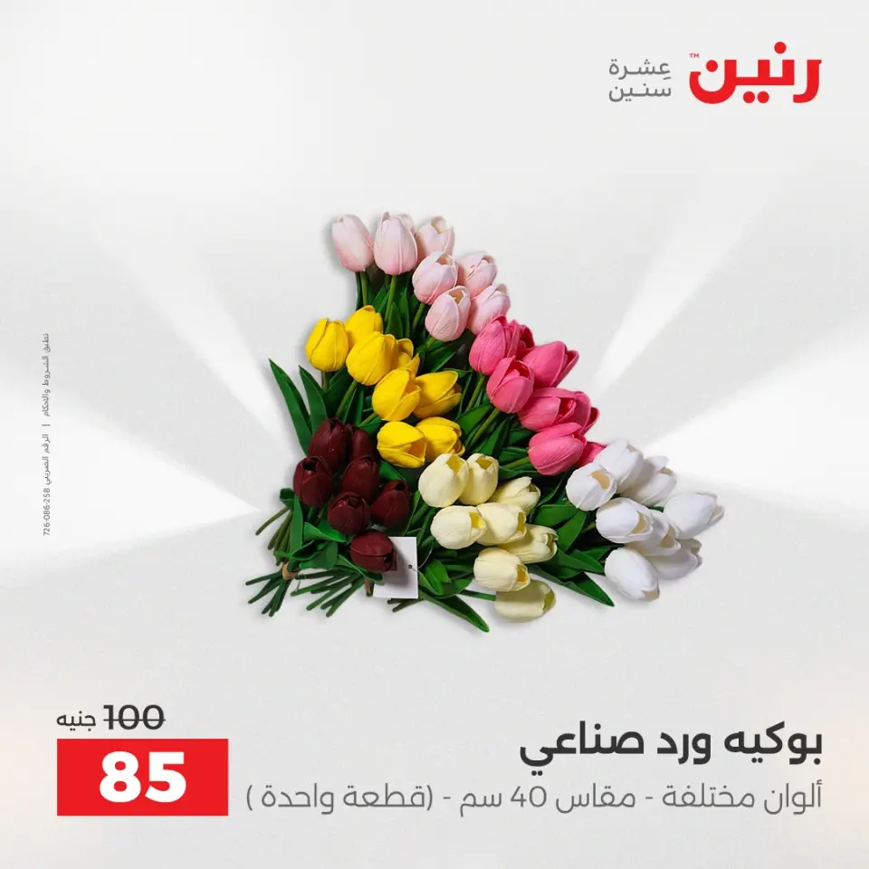 Raneen Egypt Offers from 9 to 10 December 2025 Decorative pieces offers - Page 41