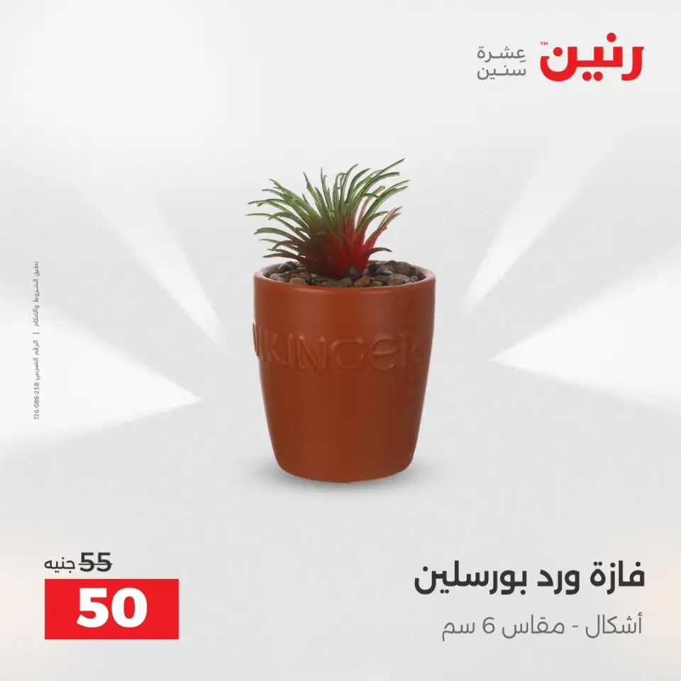 Raneen Egypt Offers from 9 to 10 December 2025 Decorative pieces offers - Page 33