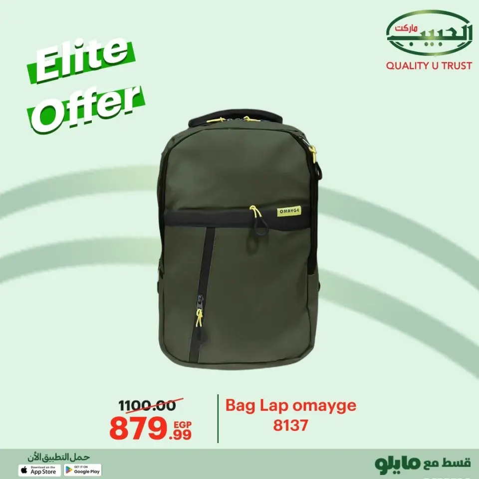 Al Habeeb Market Egypt Offers from 8 to 10 December 2025 Elite Offers - Page 11