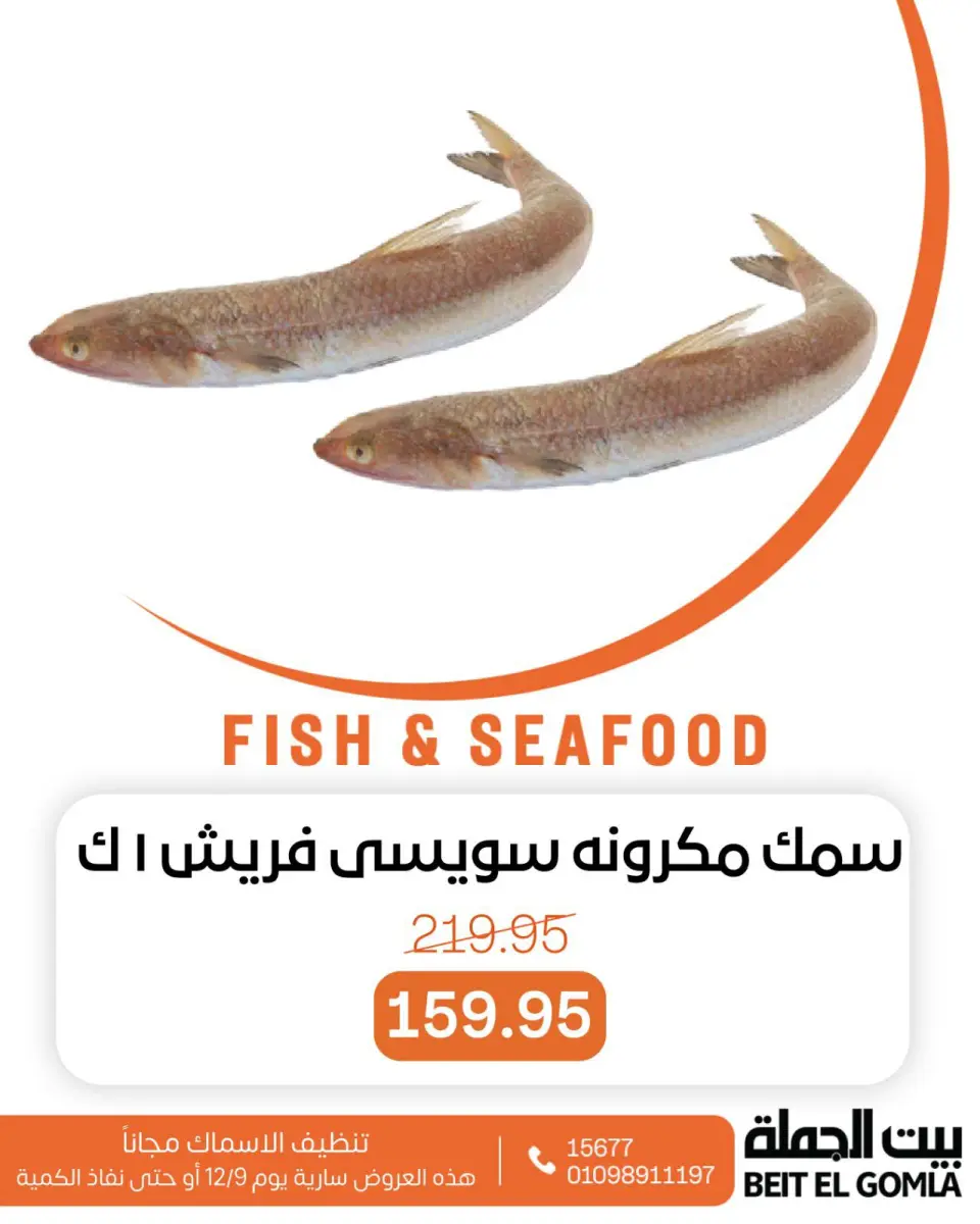 Gomla House Egypt Offers Tuesday 9 December Seafood Deals - Page 14