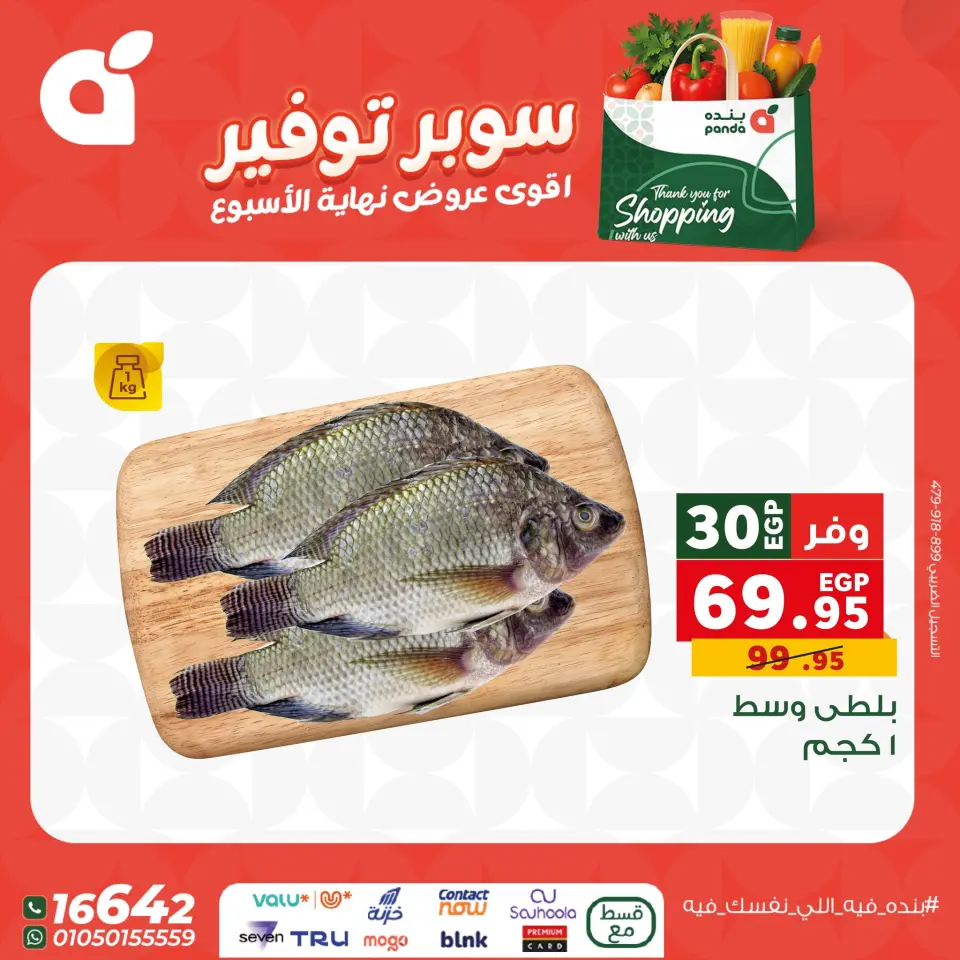 Panda Egypt Offers from 11 to 13 December 2025 Weekend Deals - Page 15