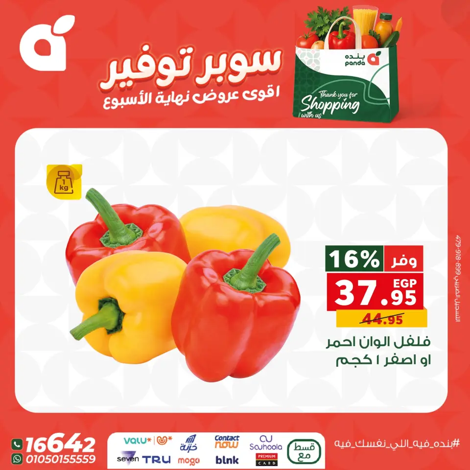 Panda Egypt Offers from 11 to 13 December 2025 Weekend Deals - Page 22
