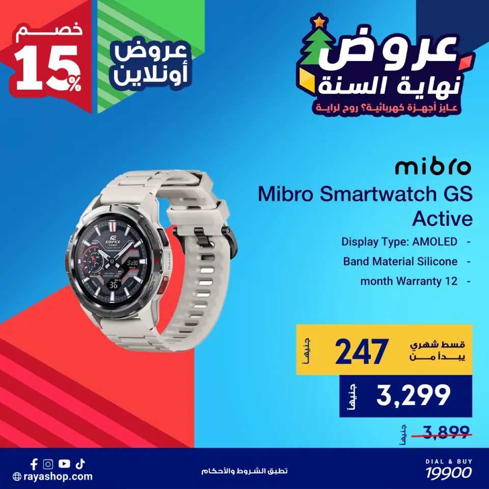 Raya Shop Egypt Offers from 10 to 16 December 2025 End of Year offer - Page 11