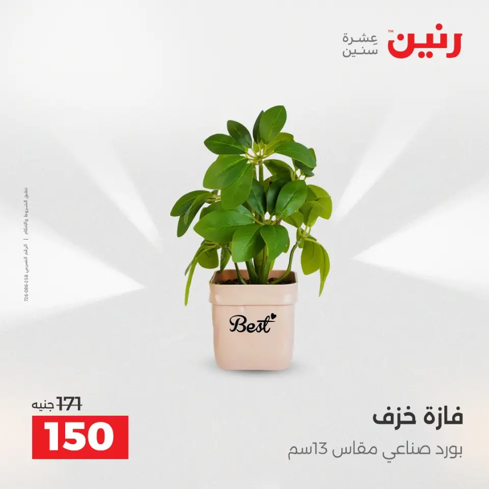Raneen Egypt Offers from 14 to 15 December 2025 Decorative pieces offers - Page 32