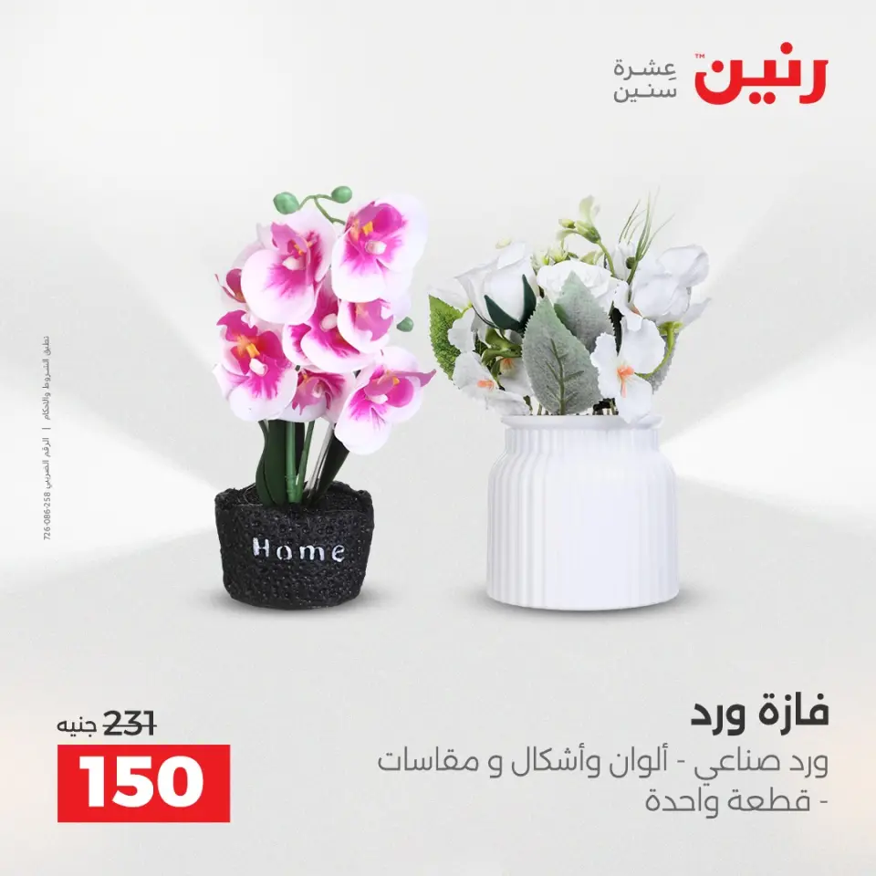 Raneen Egypt Offers from 14 to 15 December 2025 Decorative pieces offers - Page 34