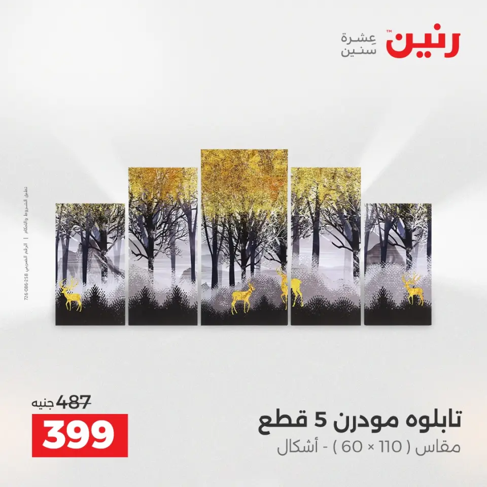 Raneen Egypt Offers from 14 to 15 December 2025 Decorative pieces offers - Page 3