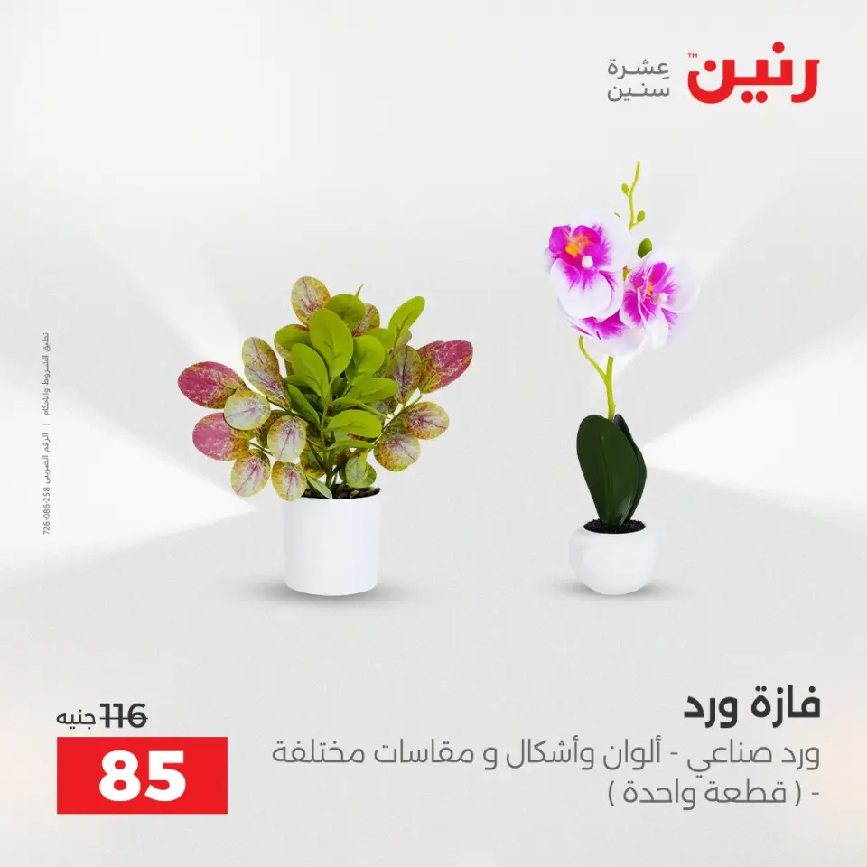 Raneen Egypt Offers from 14 to 15 December 2025 Decorative pieces offers - Page 41
