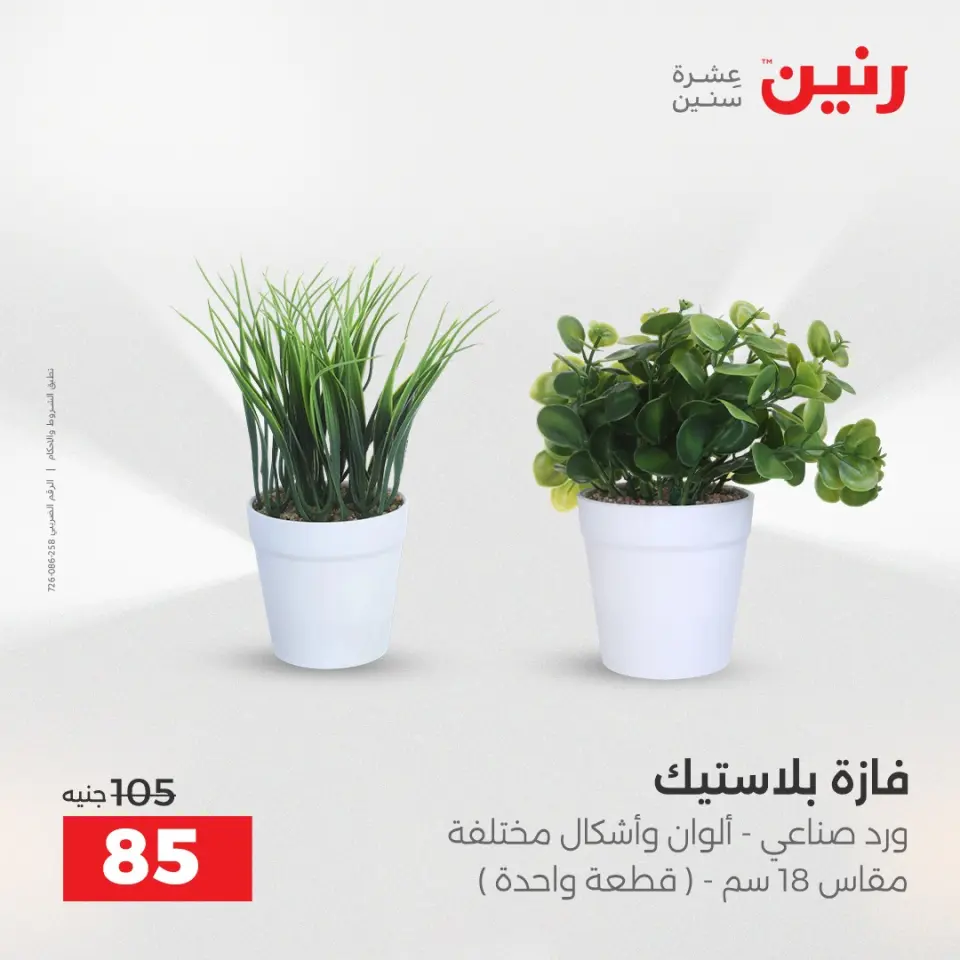 Raneen Egypt Offers from 14 to 15 December 2025 Decorative pieces offers - Page 42