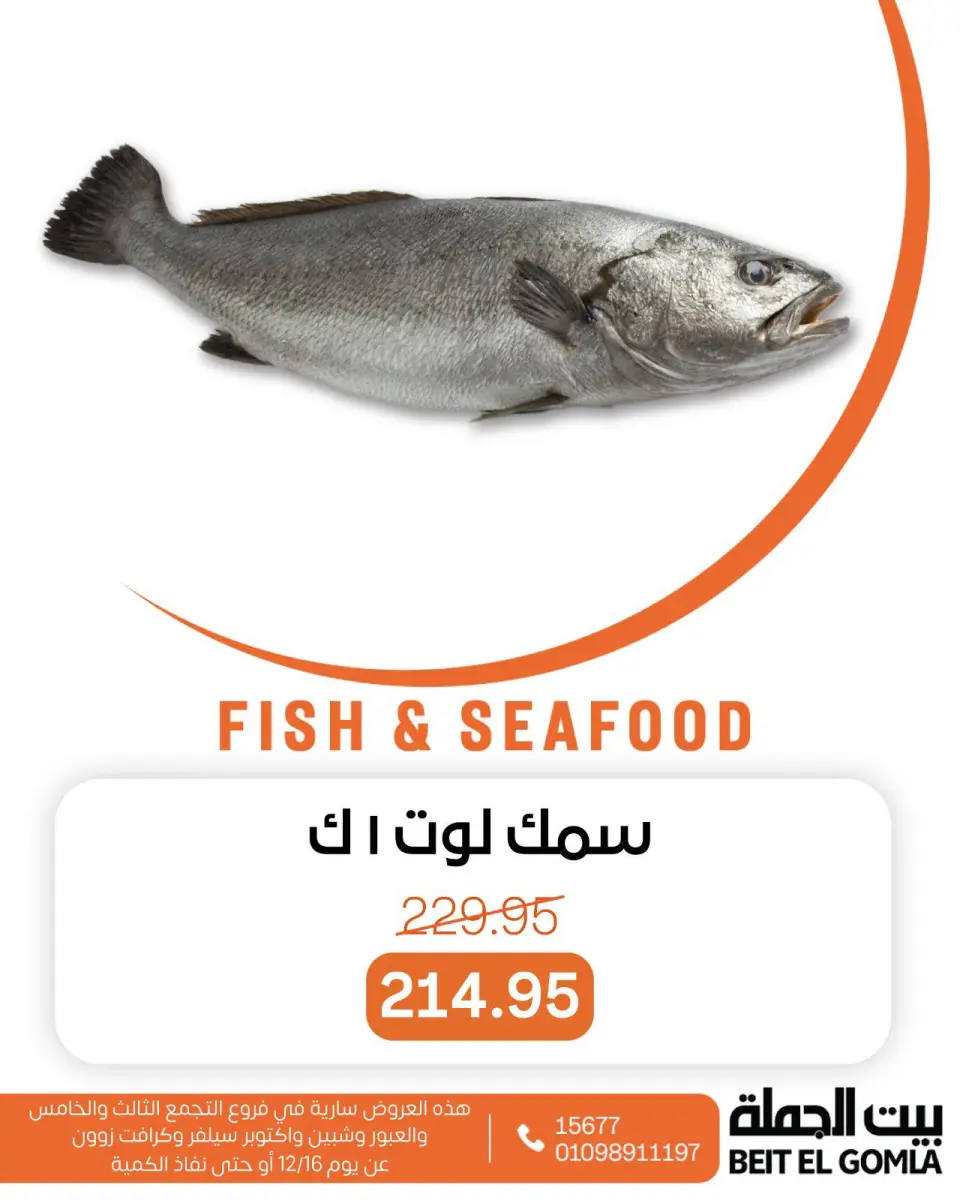 Gomla House Egypt Offers Tuesday 16 December Seafood Deals - Page 7
