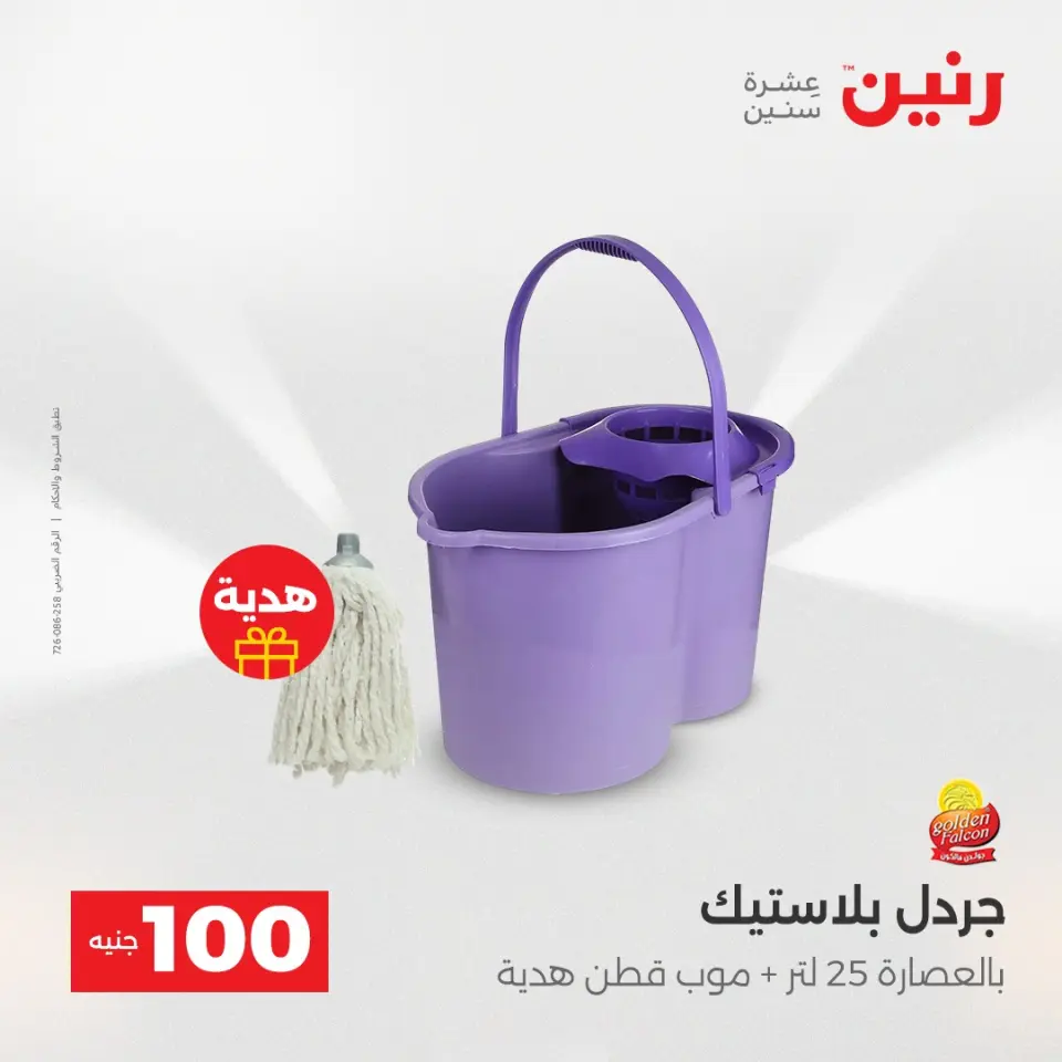 Raneen Egypt Offers from 16 to 17 December 2025 The 100 EGP Offer - Page 42