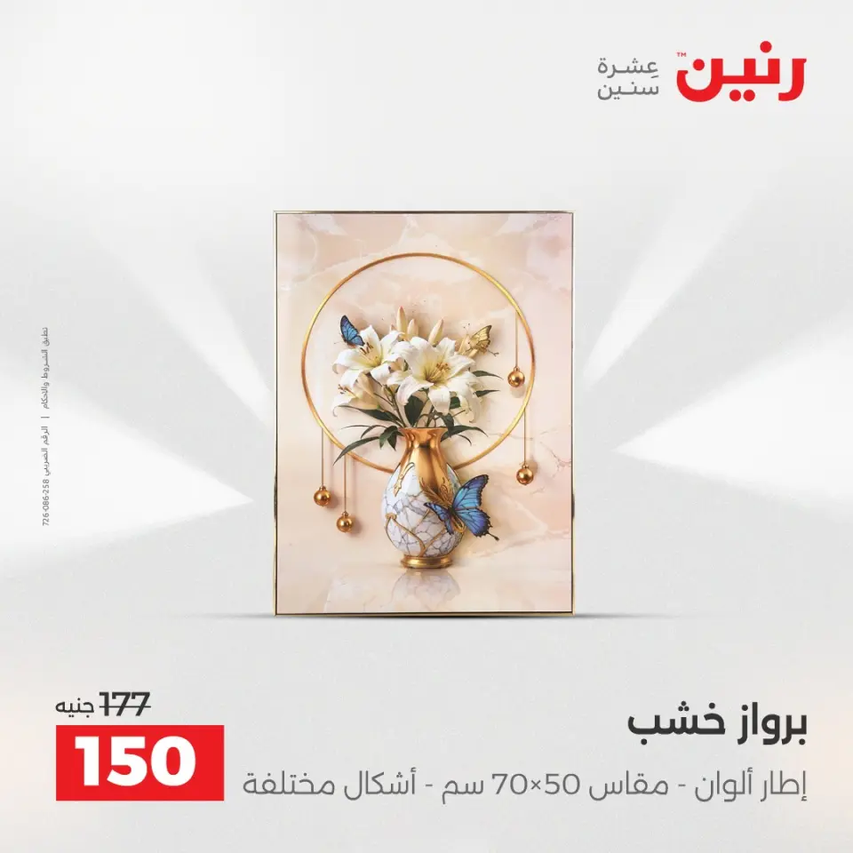 Raneen Egypt Offers from 18 to 20 December 2025 Decorative pieces offers - Page 12