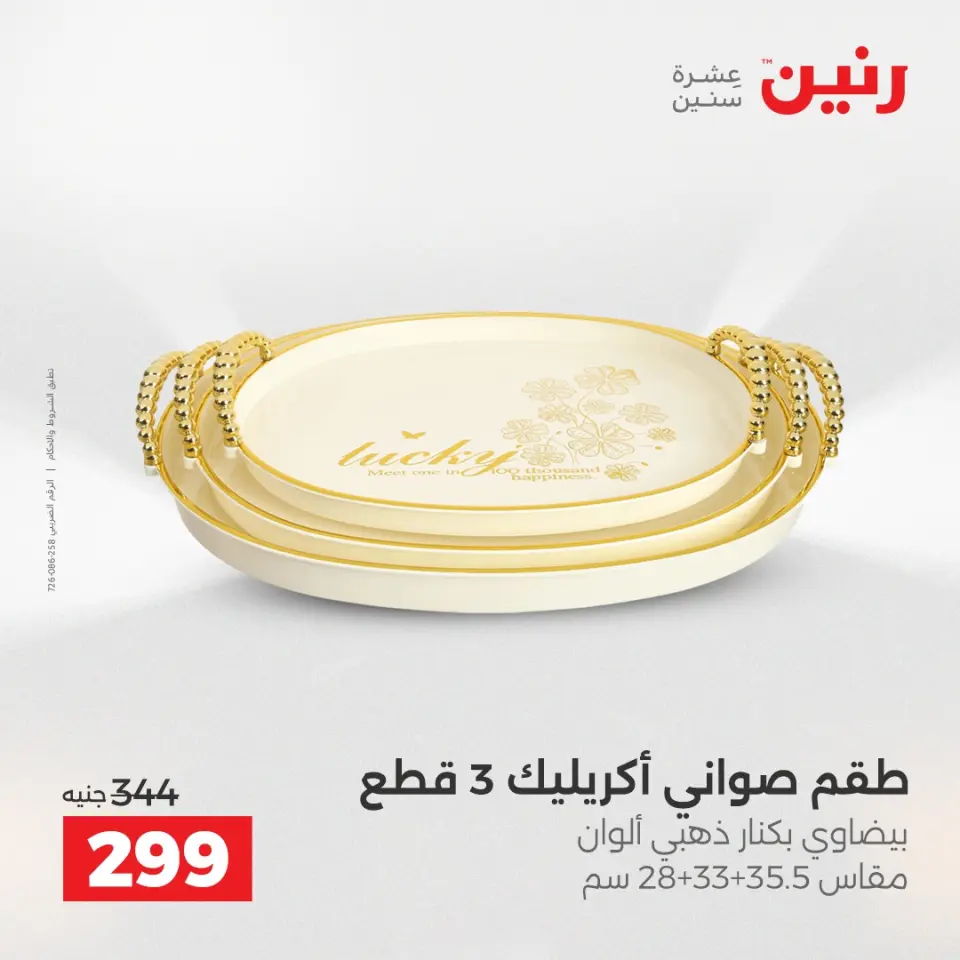 Raneen Egypt Offers from 18 to 20 December 2025 Decorative pieces offers - Page 3