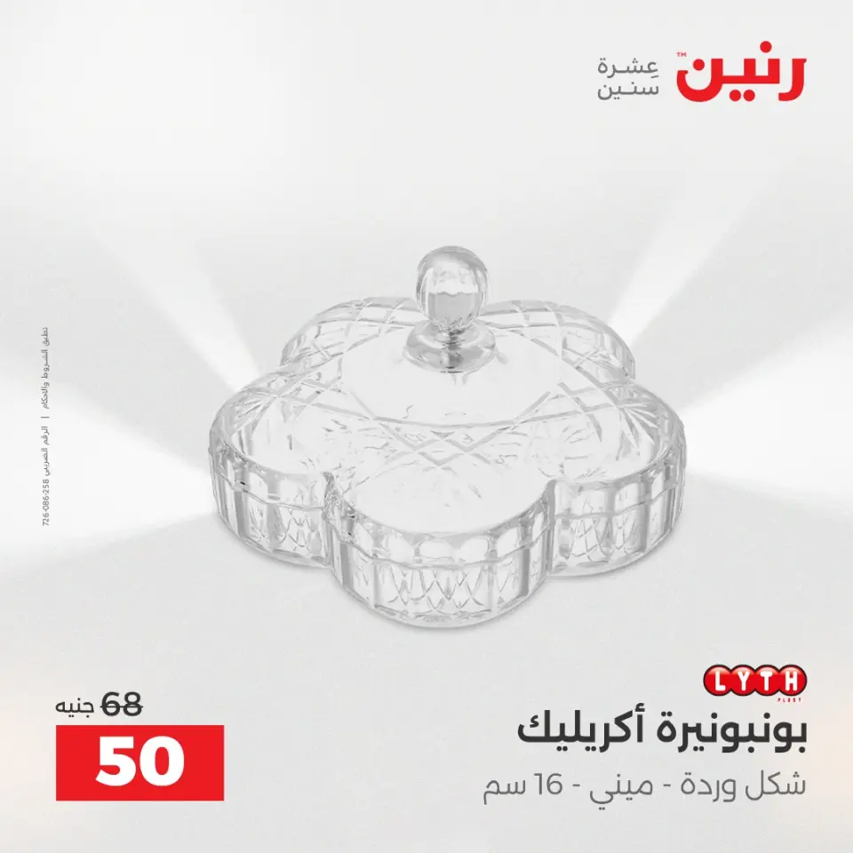 Raneen Egypt Offers from 18 to 20 December 2025 Decorative pieces offers - Page 31