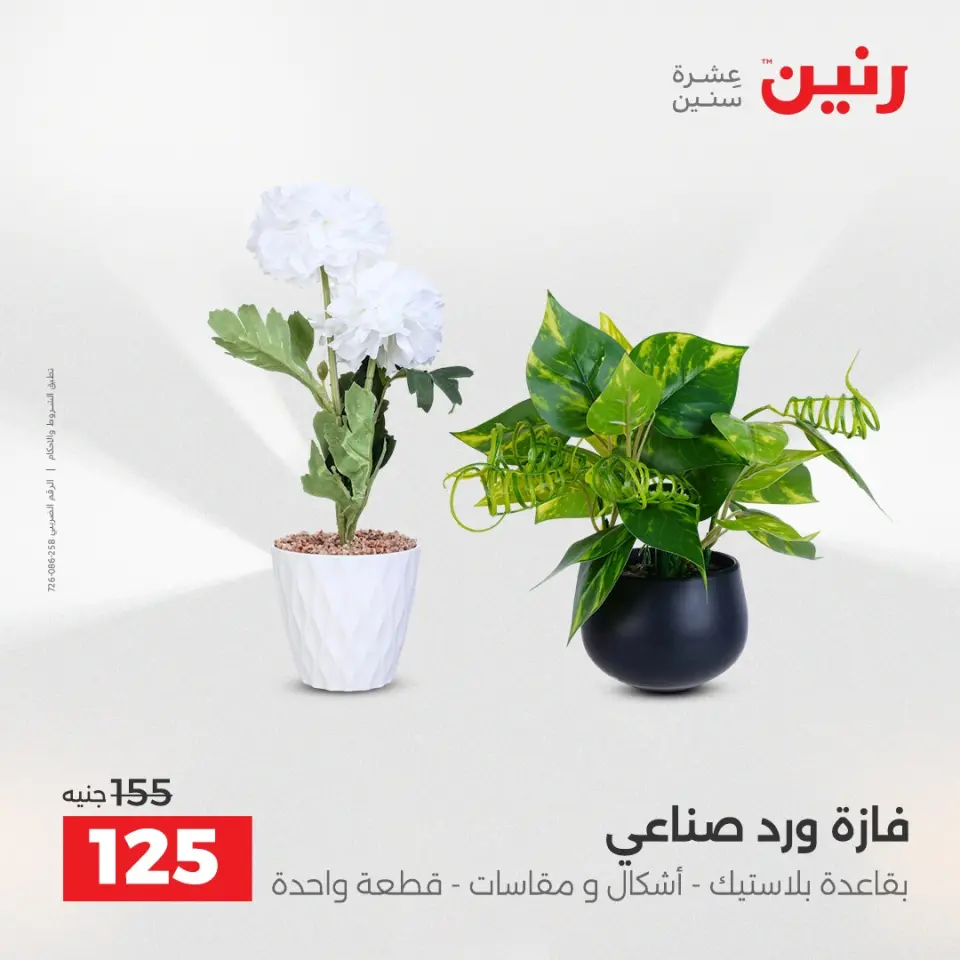 Raneen Egypt Offers from 18 to 20 December 2025 Decorative pieces offers - Page 39