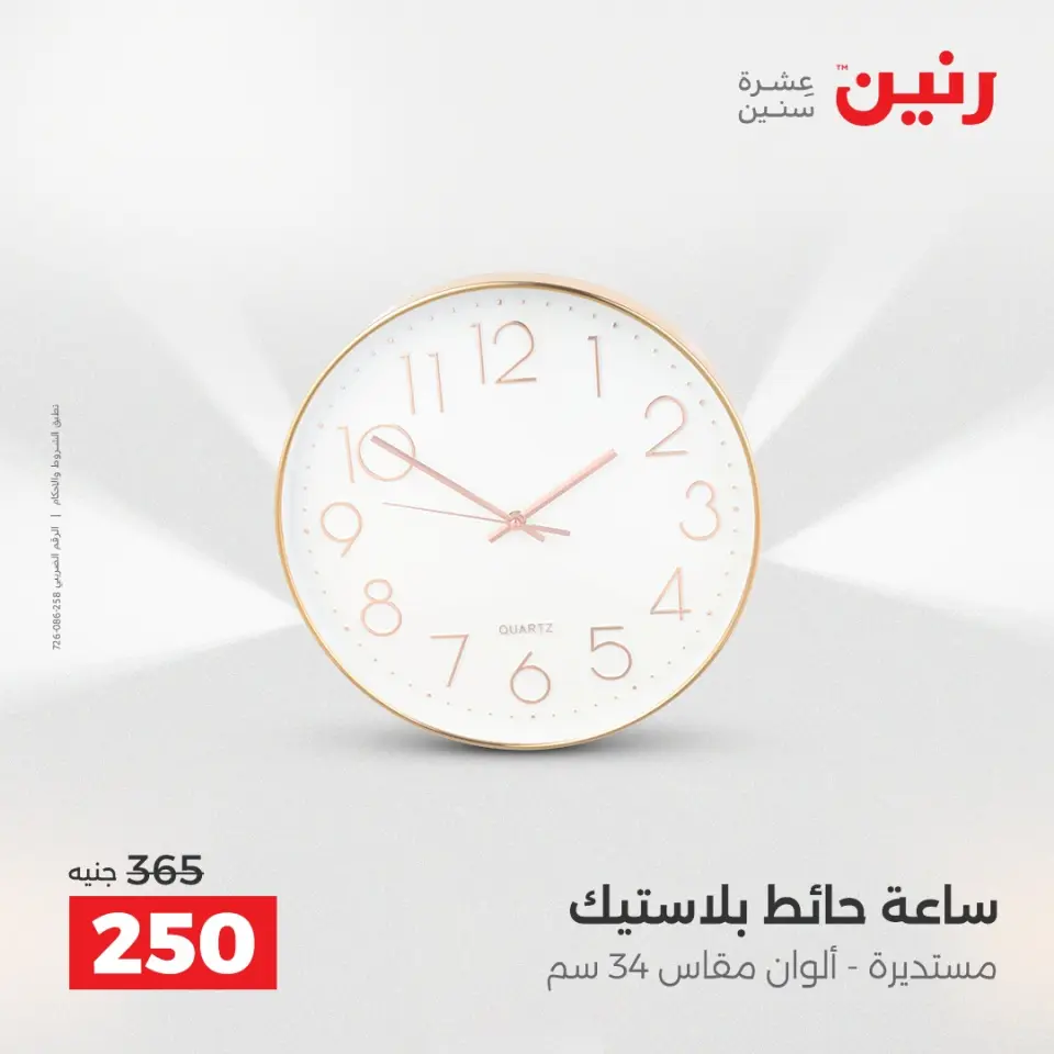 Raneen Egypt Offers from 18 to 20 December 2025 Decorative pieces offers - Page 18
