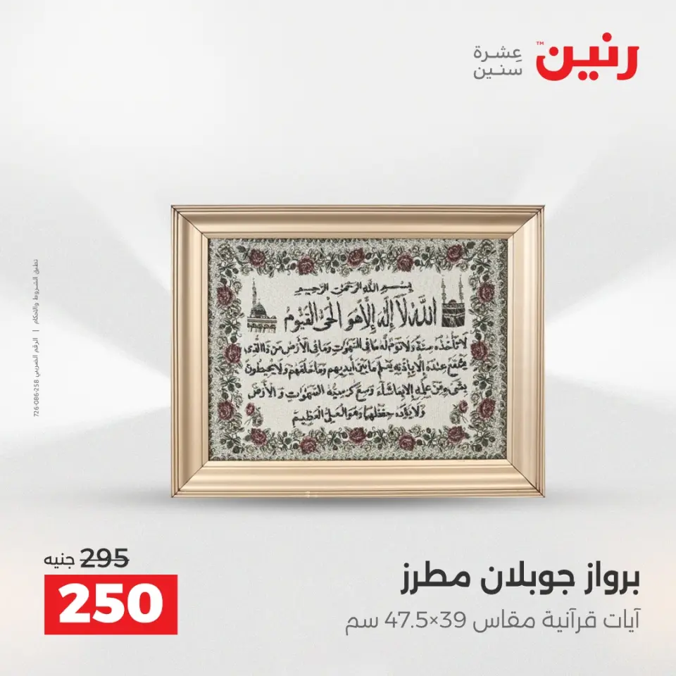 Raneen Egypt Offers from 18 to 20 December 2025 Decorative pieces offers - Page 9