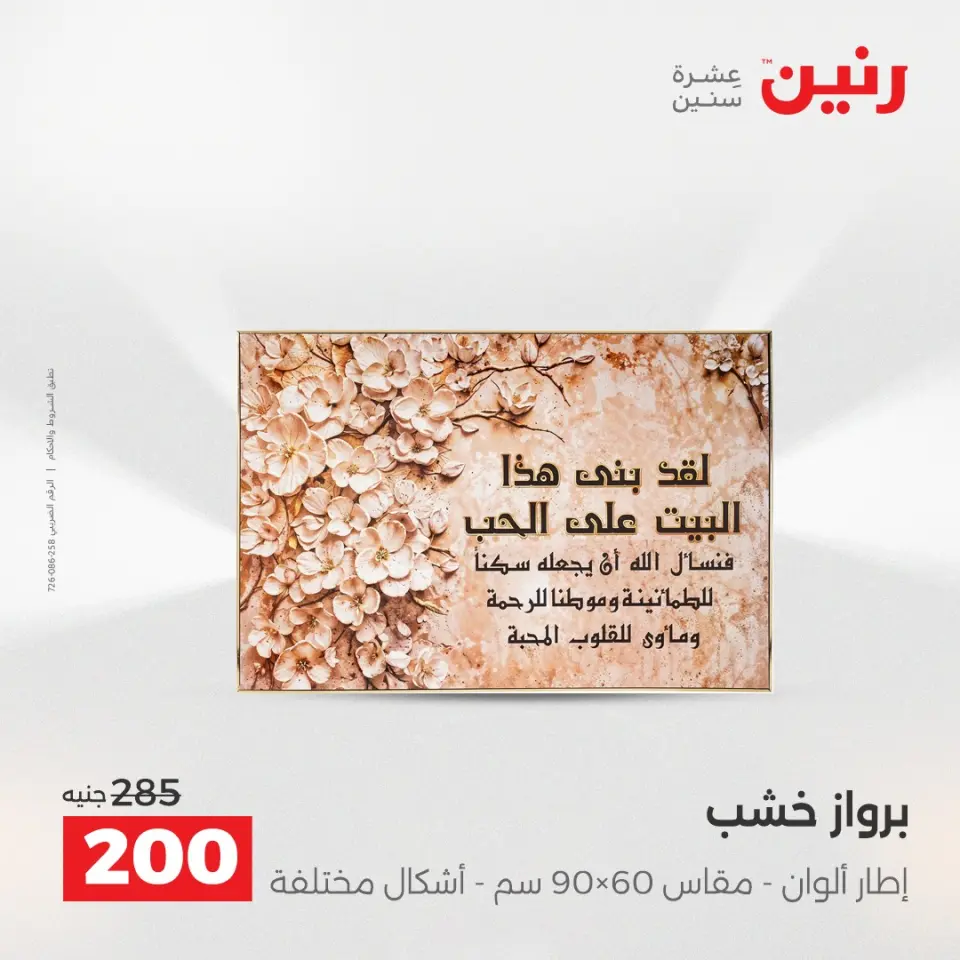 Raneen Egypt Offers from 18 to 20 December 2025 Decorative pieces offers - Page 11