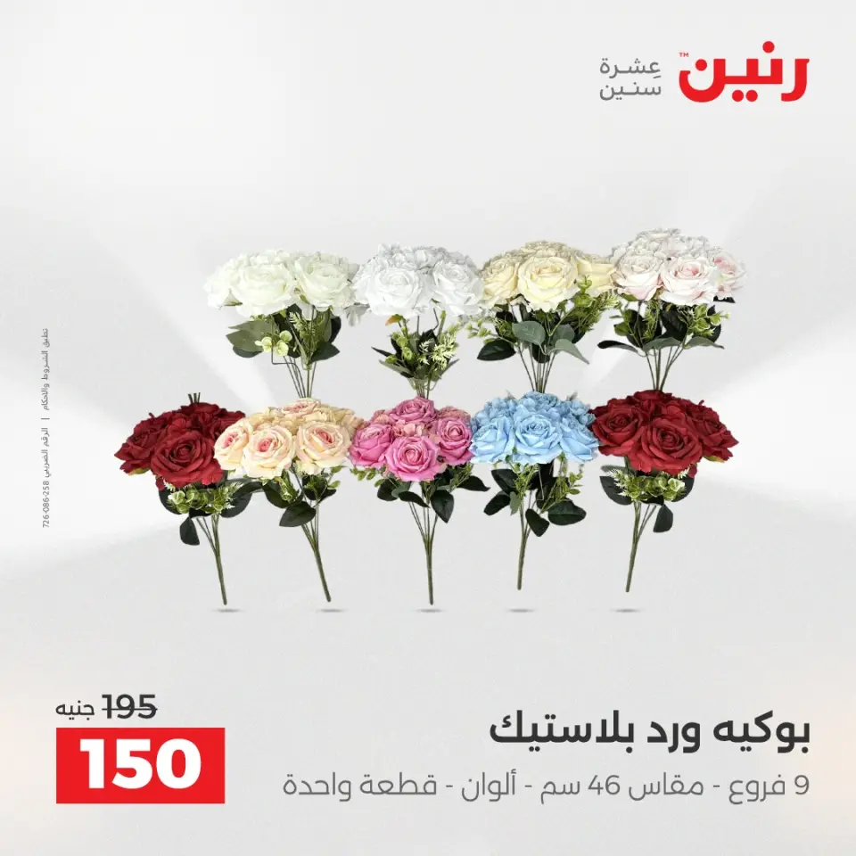 Raneen Egypt Offers from 18 to 20 December 2025 Decorative pieces offers - Page 38